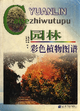 园林彩色植物图谱