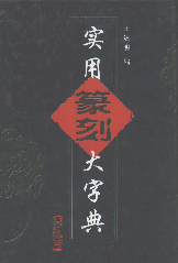 实用篆刻大字典