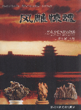 风雕惊魂：甘肃戈壁风雕石图集